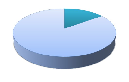Pie Chart 1 01.07.2026