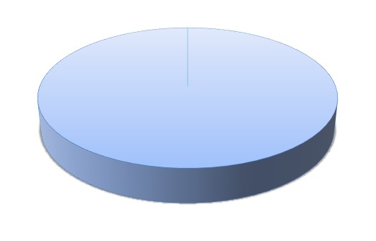 Pie Chart 1 01.07.2026